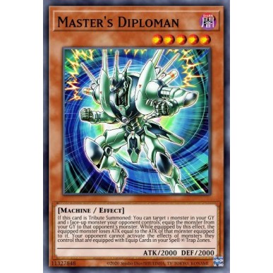 Diplomuomo del Master