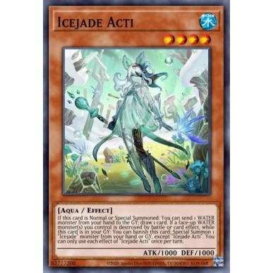Ghiacciogiada Acti
