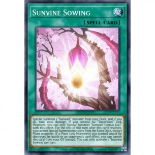 Solarvite Seminagione
