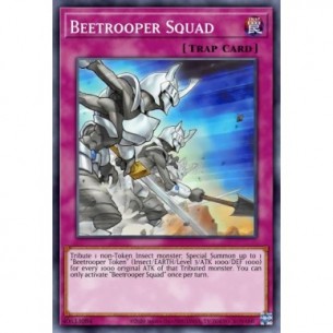 Squadra Scarasoldato