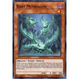 Baby Mudragon