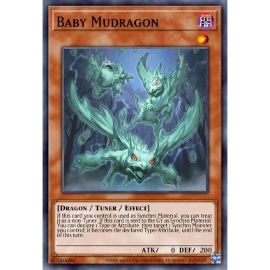 Baby Mudragon