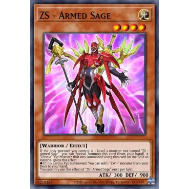 ZS - Saggio Armato