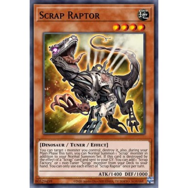 Raptor Frammento