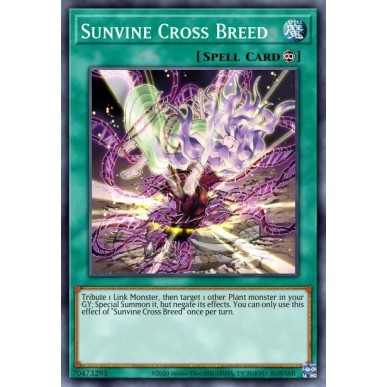 Solarvite Incrocio di Specie