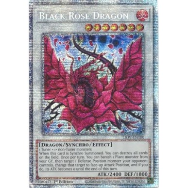 Drago Rosa Nera