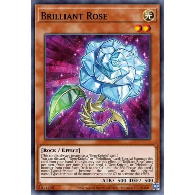 Rosa Brillante