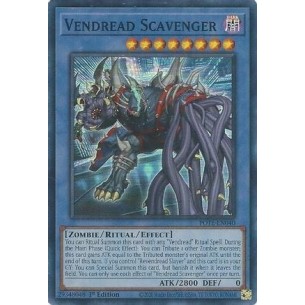 Venterrore Sciacallo