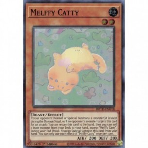 Melffy Catty