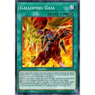 Gaia al Galoppo