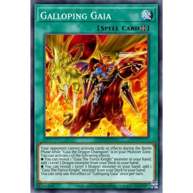 Gaia al Galoppo