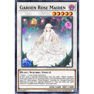 Fanciulla Rosa del Giardino