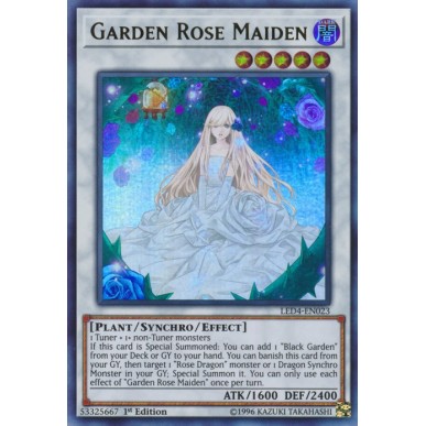 Fanciulla Rosa del Giardino