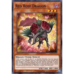 Drago Rosa Rossa