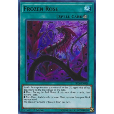 Rosa Ghiacciata