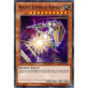 Night Express Knight