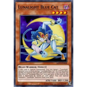 Gatto Blu della Lucelunare