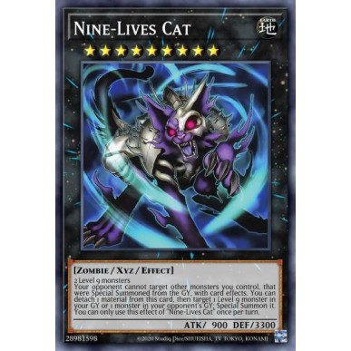 Gatto dalle Nove Vite