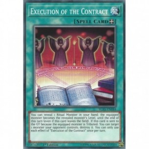 Execution of the Contract