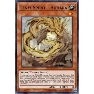 Spirito Tenyi - Adhara