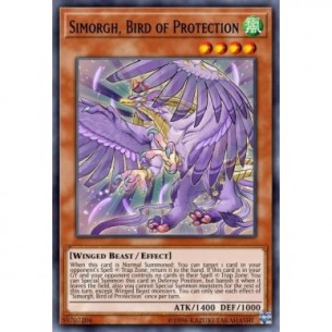 Simorgh, Volatile della...