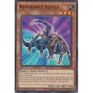 Reversible Beetle