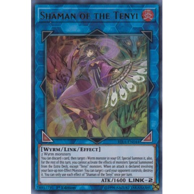 Sciamano del Tenyi