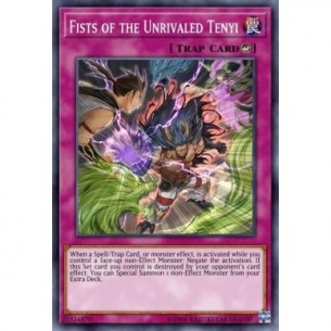 Fists of the Unrivaled Tenyi