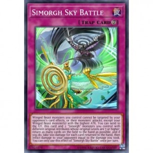 Simorgh Sky Battle
