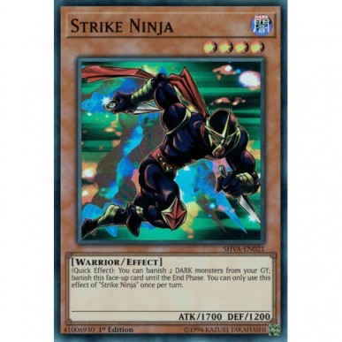 Ninja Fulmineo