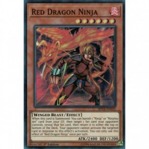 Ninja Drago Rosso