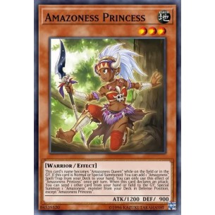 Principessa Amazoness
