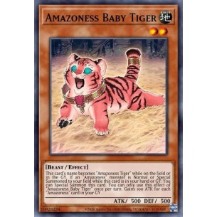 Cucciolo di Tigre Amazoness