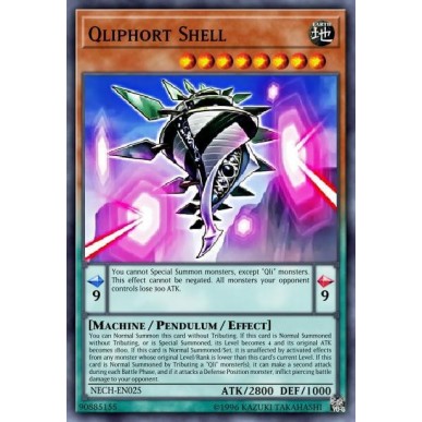 Conchiglia Qliphort