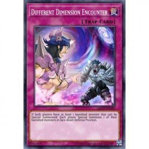 Different Dimension Encounter
