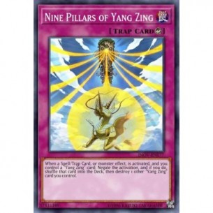 Nine Pillars of Yang Zing