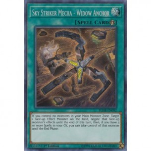 Assaltatrice del Cielo...