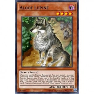 Lupino Distaccato