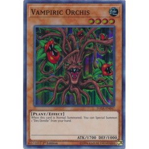 Orchidea Vampir