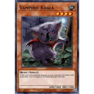 Koala Vampir