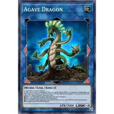 Agave Dragon