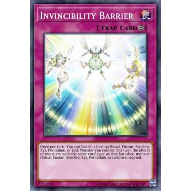 Invincibility Barrier