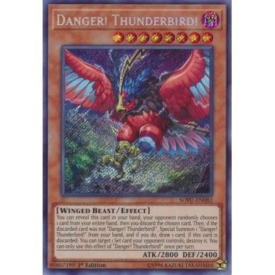 Danger! Thunderbird!