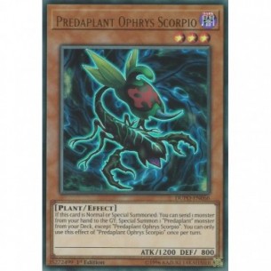 Predaplant Ophrys Scorpio