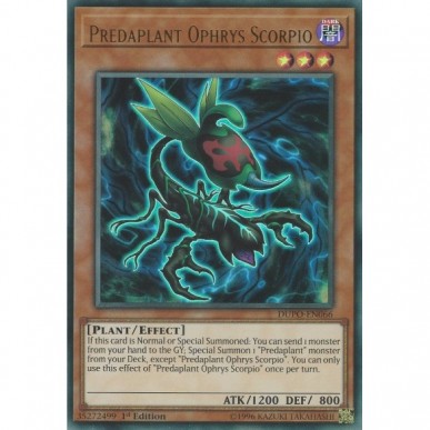 Predapianta Ofride Scorpione