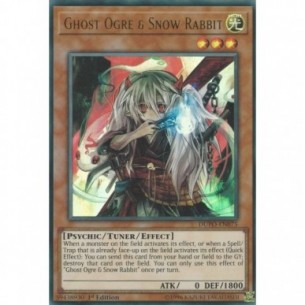 Ghost Ogre & Snow Rabbit