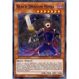 Ninja Drago Nero