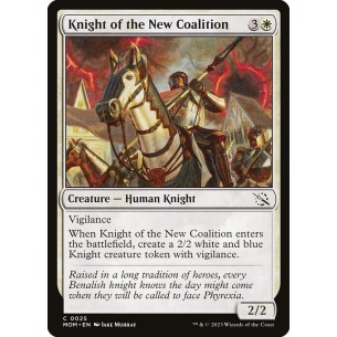 Cavaliere della Nuova...