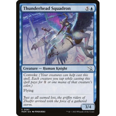 Thunderhead Squadron