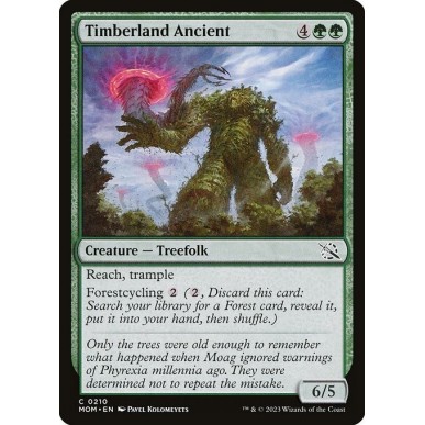 Timberland Ancient
